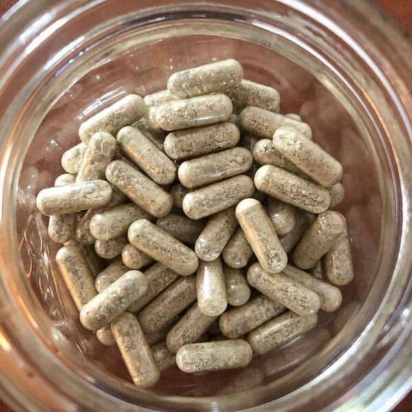 Buy iboga online uk